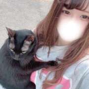 ヒメ日記 2025/10/24 08:26 投稿 みほの 黒い金魚（札幌）