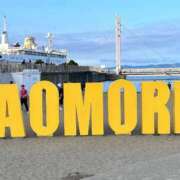 ヒメ日記 2025/11/14 18:32 投稿 みほの 黒い金魚（札幌）