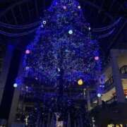 ヒメ日記 2025/12/09 19:30 投稿 みほの 黒い金魚（札幌）