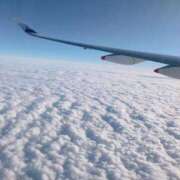 ヒメ日記 2025/12/19 23:05 投稿 みほの 黒い金魚（札幌）