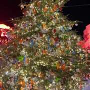 ヒメ日記 2025/12/20 23:30 投稿 みほの 黒い金魚（札幌）