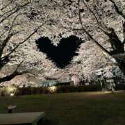 ヒメ日記 2026/02/04 22:49 投稿 みほの 黒い金魚（札幌）