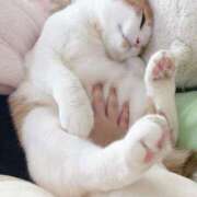 ヒメ日記 2026/02/13 23:24 投稿 みほの 黒い金魚（札幌）