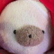 ヒメ日記 2026/02/15 22:20 投稿 みほの 黒い金魚（札幌）