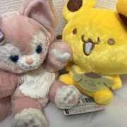 ヒメ日記 2026/03/11 23:50 投稿 みほの 黒い金魚（札幌）