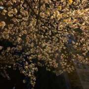 ヒメ日記 2026/04/23 13:10 投稿 みほの 黒い金魚（札幌）