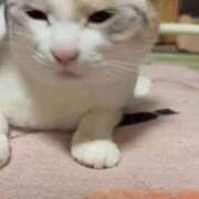 ヒメ日記 2026/06/11 23:40 投稿 みほの 黒い金魚（札幌）