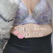 ヒメ日記 2026/01/05 17:19 投稿 のん奥様 なすがママされるがママ