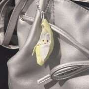 ヒメ日記 2024/12/19 12:36 投稿 白砂茅寧 札幌ソフィア