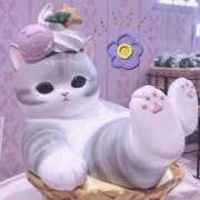 ヒメ日記 2025/02/18 00:49 投稿 白砂茅寧 札幌ソフィア