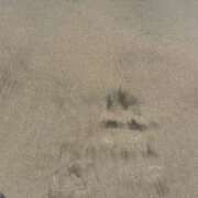 ヒメ日記 2025/07/29 17:12 投稿 めろ Flower(フラワー)