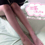 ヒメ日記 2026/03/24 17:10 投稿 めろ Flower（フラワー）