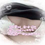 ヒメ日記 2024/12/19 15:04 投稿 まきな 池袋サンキュー