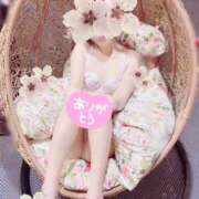 ヒメ日記 2025/04/02 10:41 投稿 あんり 素人・人妻 SHIRAYURI（しらゆり）