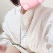 ヒメ日記 2025/04/14 12:27 投稿 あんり 素人・人妻 SHIRAYURI（しらゆり）