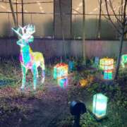 ヒメ日記 2024/12/21 14:08 投稿 特プレミアみすず【癒しをお届け】 LIPS(リップス)