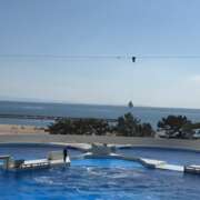 ヒメ日記 2025/02/27 11:02 投稿 特プレミアみすず【癒しをお届け】 LIPS(リップス)