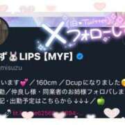 ヒメ日記 2025/05/03 15:07 投稿 特プレミアみすず【癒しをお届け】 LIPS(リップス)