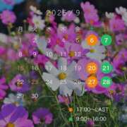 ヒメ日記 2025/09/09 20:36 投稿 特プレミアみすず【癒しをお届け】 LIPS(リップス)