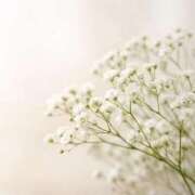 特プレミアみすず【癒しをお届け】 ご報告 LIPS(リップス)