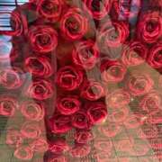 ヒメ日記 2025/05/03 00:27 投稿 華 熟女の風俗最終章 新横浜店