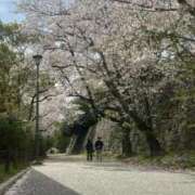 ヒメ日記 2025/04/06 10:08 投稿 きこ【華奢でほんわか癒しの素人】 LIPS(リップス)