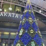 ヒメ日記 2025/11/15 22:35 投稿 きこ【華奢でほんわか癒しの素人】 LIPS(リップス)