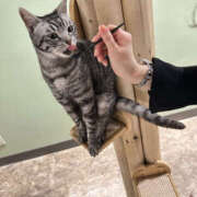 ヒメ日記 2025/03/16 12:41 投稿 ひめか 彼女の部屋本店