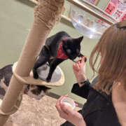 ヒメ日記 2025/03/20 16:09 投稿 ひめか 彼女の部屋本店