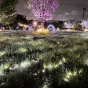 ヒメ日記 2025/05/27 14:26 投稿 ひめか 彼女の部屋本店