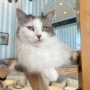 ヒメ日記 2025/07/24 15:42 投稿 ひめか 彼女の部屋本店