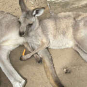 ヒメ日記 2025/09/25 15:57 投稿 ひめか 彼女の部屋本店