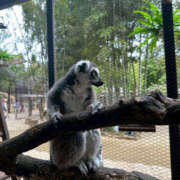 ヒメ日記 2025/09/28 09:50 投稿 ひめか 彼女の部屋本店