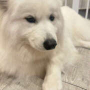 ヒメ日記 2025/10/09 15:35 投稿 ひめか 彼女の部屋本店