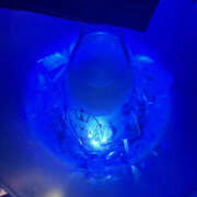 ヒメ日記 2025/10/29 09:22 投稿 ひめか 彼女の部屋本店