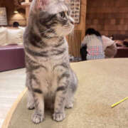 ヒメ日記 2026/04/02 15:02 投稿 ひめか 彼女の部屋本店