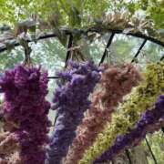 ヒメ日記 2025/05/02 22:20 投稿 橘 上野CLUB A(クラブ エー)