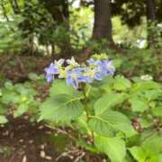 ヒメ日記 2025/05/20 10:50 投稿 橘 上野CLUB A(クラブ エー)