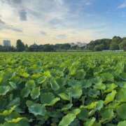 ヒメ日記 2025/06/22 20:40 投稿 橘 上野CLUB A(クラブ エー)