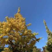 ヒメ日記 2025/11/21 13:10 投稿 橘 上野CLUB A(クラブ エー)