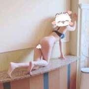 ヒメ日記 2025/01/15 10:27 投稿 りあ 阪神人妻花壇