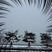 ヒメ日記 2025/01/11 15:04 投稿 ゆう 仙南 愛ランド（白石、柴田、岩沼、名取）