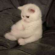 ヒメ日記 2025/01/17 14:57 投稿 ろーず ハピネス東京