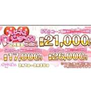 ヒメ日記 2025/02/11 17:16 投稿 ろーず ハピネス東京