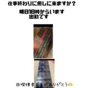 ヒメ日記 2025/04/08 08:17 投稿 ろーず ハピネス東京