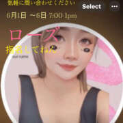 ヒメ日記 2025/06/01 05:53 投稿 ろーず ハピネス東京