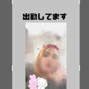 ヒメ日記 2025/07/02 08:27 投稿 ろーず ハピネス東京