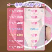 ヒメ日記 2025/11/12 18:27 投稿 ろーず ハピネス東京