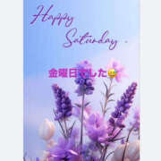 ヒメ日記 2025/11/14 12:47 投稿 ろーず ハピネス東京