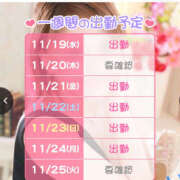 ヒメ日記 2025/11/19 19:57 投稿 ろーず ハピネス東京